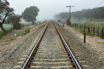 Fototapeta premium Lonely railroad track