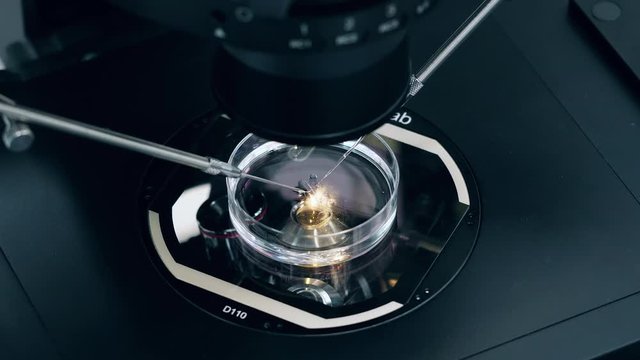 In vitro fertilization with machine in laboratory.