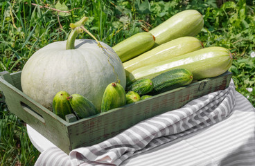 Harvest of ripe cucumber squash and pumpkin in  wooden box on  wooden table