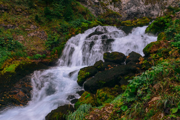 Small forest waterfall in Montenegro, Durmitor