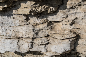 White limestone texture closeup, carbonate sedimentary rock close-up - Image