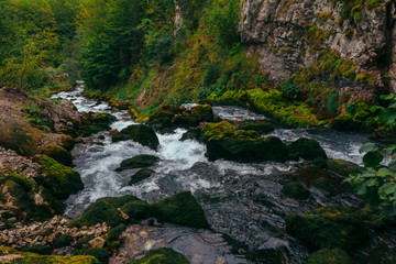 Small forest waterfall in Montenegro, Durmitor
