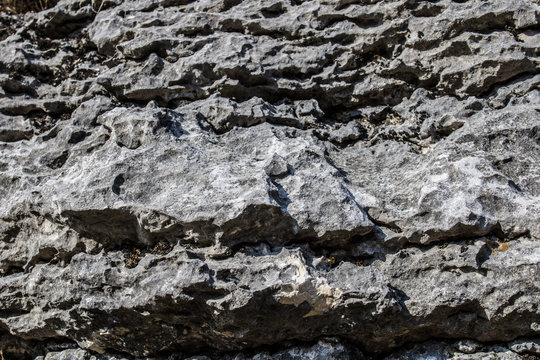 Gray limestone texture closeup, carbonate sedimentary rock close-up - Image