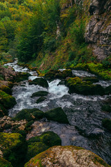Small forest waterfall in Montenegro, Durmitor
