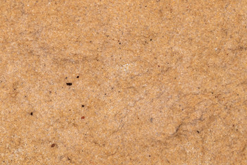 Textured natural colored interior brick wall surface