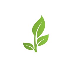 Green leaf icon, vector Illustration