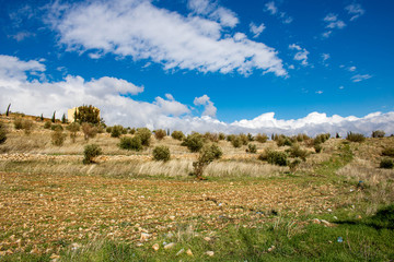 Obraz premium Trees and green filed, cloudy sky with trees
