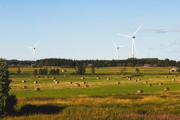 Fototapeta premium Estonian rural country landscape with forest, field and wind generators on the road to Tallinn, Estonia