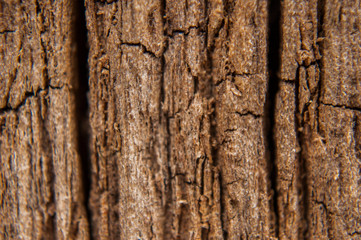 cracks of wood