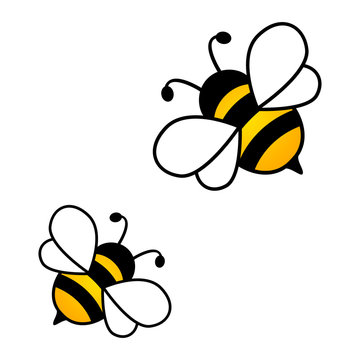 Honey bees isolated on the white background