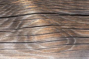 Dark wooden background texture. Old fence panels with natural patterns.