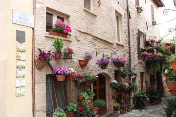 Fototapeta na wymiar colorful flowers on wall of home in medieval town