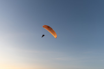 Paraglider flying over thesea shore at sunset. Paragliding sport concept.
