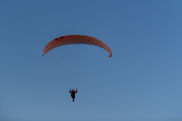 Paraglider flying over thesea shore at sunset. Paragliding sport concept.
