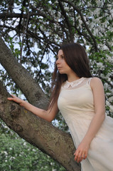 Portrait of a girl in a white dress with long hair sitting on a branch in an apple orchard at sunset