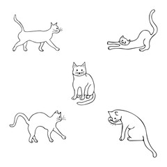 Set with cats in different poses. Goes forward, washing, arched his back, sitting and looking straight, stretching and sharpening claws. Doodle illustration on white background. Cute animal