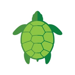 Sea turtle icon. Vector illustration isolated o white background
