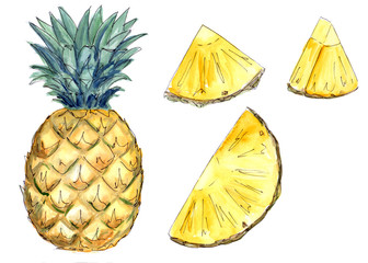 watercolor pineapple and pineapple pieces on a white background  - obrazy, fototapety, plakaty