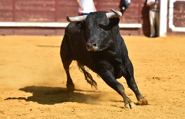 Fotobehang a strong bull running on a traditional spectacle of bullfight  © alberto