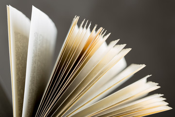 open book pages close-up - education and wisdom concept