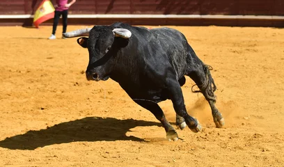 Fotobehang a strong bull running on a traditional spectacle of bullfight  © alberto