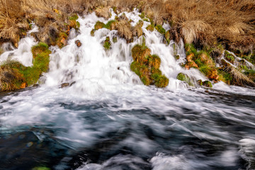 Spring comes out of the earth at Thousand Springs Idaho