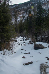 RMNP 01/2020
