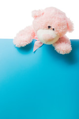 Cute teddy bear pink on color background with copy space