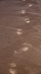 traces