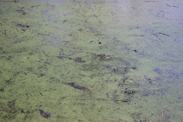 Green still water texture background