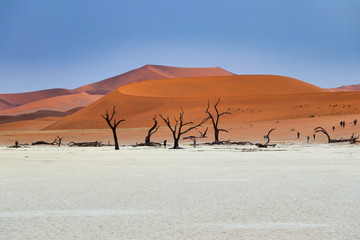 Dead Vlei (Namib-Naukluft Park) - Namibia Africa