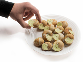 Hand holds snail stuffed with sauce