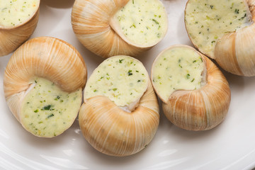 still life of stuffed snail sauce, on a white background
