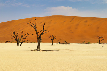 Fototapeta na wymiar Dead Vlei (Namib-Naukluft Park) - Namibia Africa