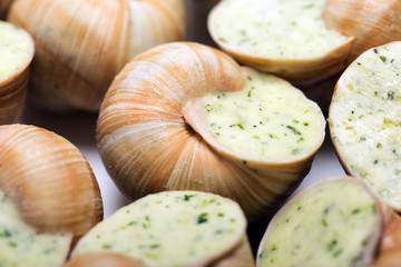 still life of stuffed snail sauce, on a white background