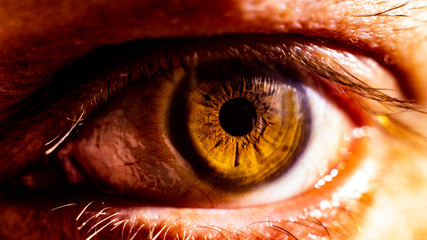eye