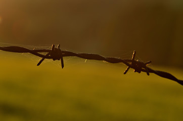 Rusty barbed wire at sunset symbolizing oppression, totalitarianism and war conflict.