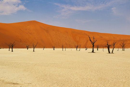 Dead Vlei (Namib-Naukluft Park) - Namibia Africa