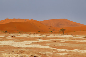 Sossusvlei (Namib-Naukluft Park) - Namibia Africa