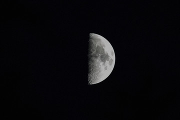 Naklejka premium The Moon