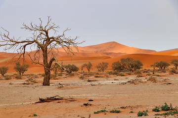 Fototapeta na wymiar Sossusvlei (Namib-Naukluft Park) - Namibia Africa
