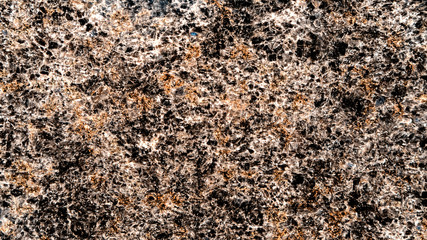 Metamorphic rock.
