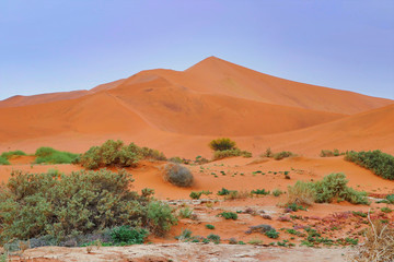 Sossusvlei (Namib-Naukluft Park) - Namibia Africa
