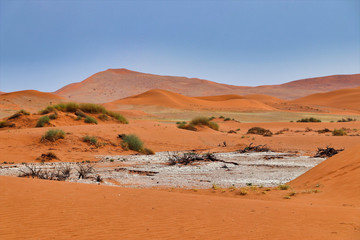 Fototapeta na wymiar Sossusvlei (Namib-Naukluft Park) - Namibia Africa