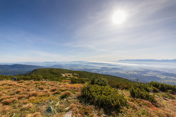 Polish Beskid Mountains landscape on sunny day in summer