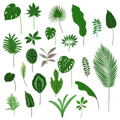 Vector set of hand-drawn tropical leaves. EPS 10