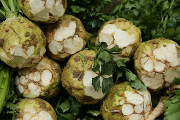fresh organic celery root tubers on the market. Food natural background, pattern, banner
