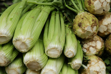 organic celery root tubers and juicy sticks petioles on the market. Food natural background,...