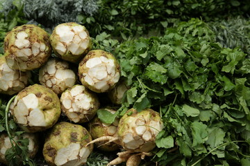  fresh organic celery root tubers and greens on the market. Food natural background, pattern, banner