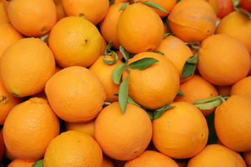 fresh organic oranges in the market. Citrus tropical fruit. Food banner, pattern, background